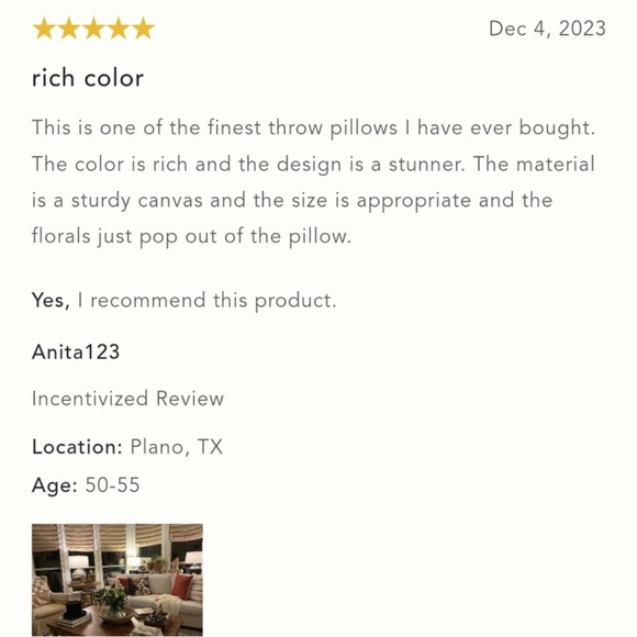 Anthropologie Jadie Pillow SOLD OUT - Picture 6 of 9